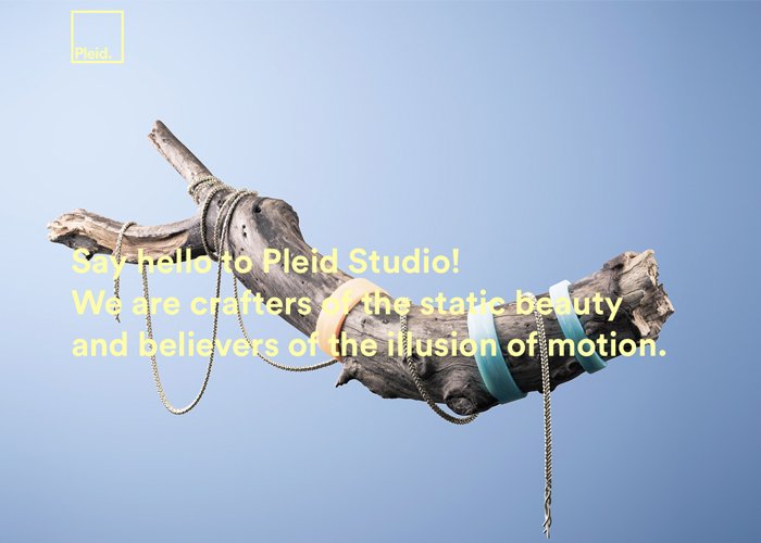 Pleid