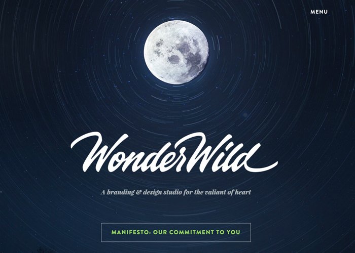 WonderWild