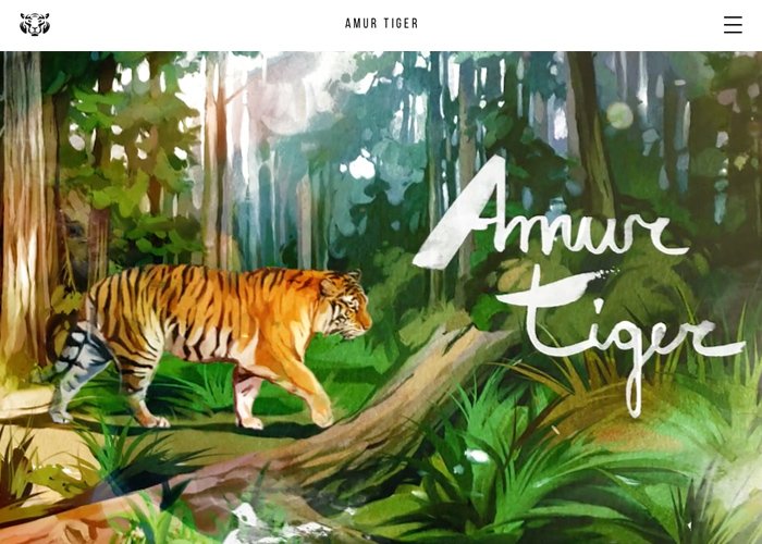 Amur Tiger