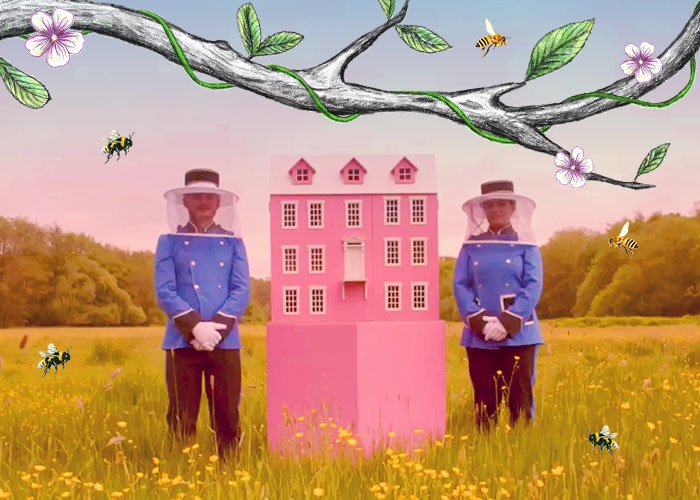 The Story of Bees
