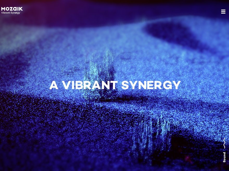 Mozaik - Vibrant Synergy