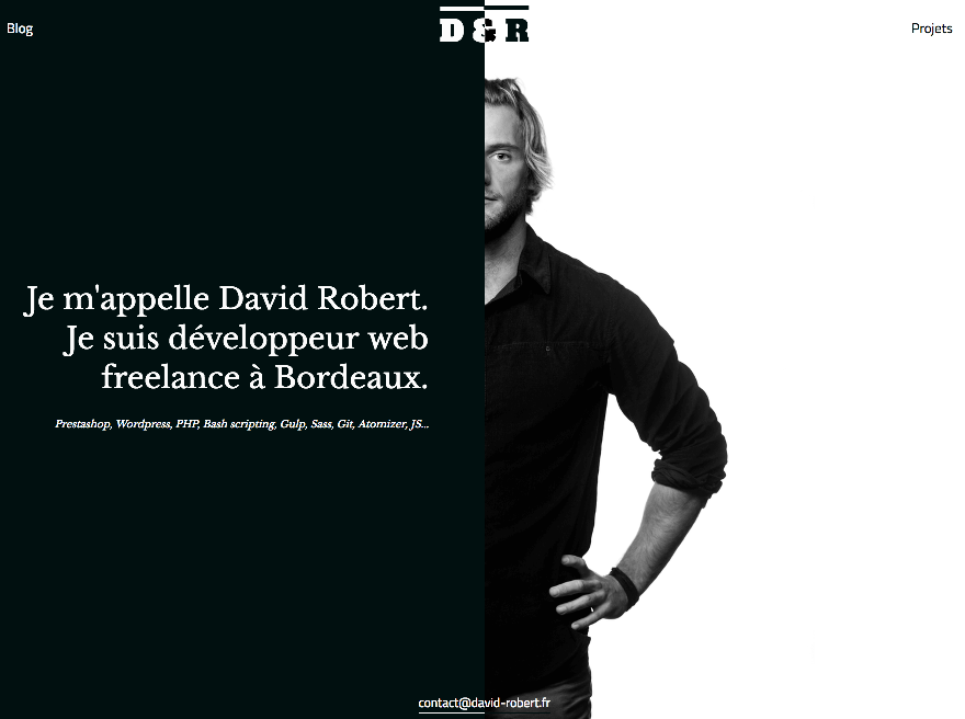David Robert