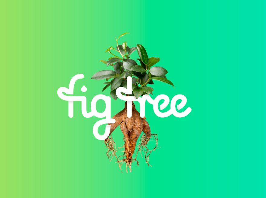 Fig Tree Digital