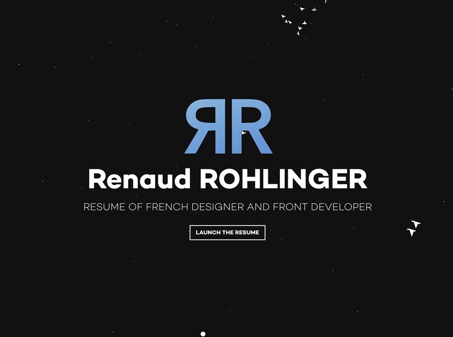 ROHLINGER Renaud - resume