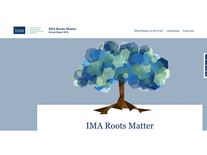IMA Annual Report 2016