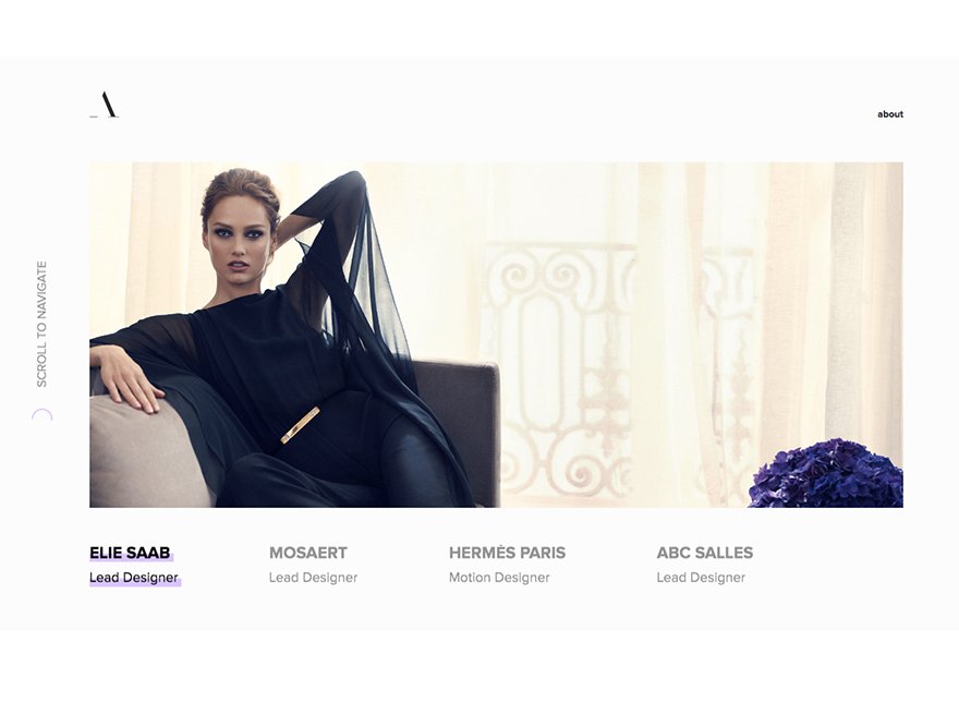 Adel Meziani - Portfolio