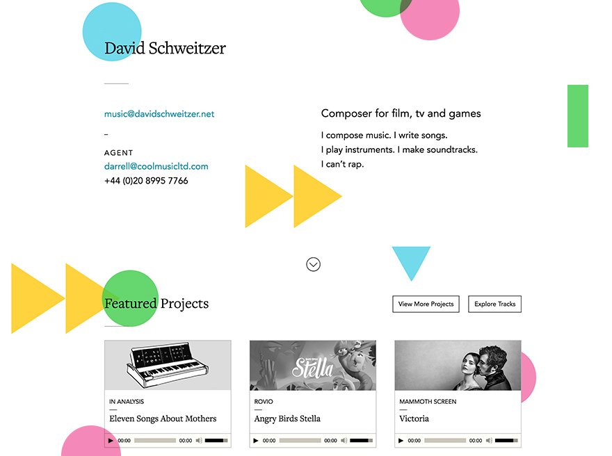 David Schweitzer - Musician