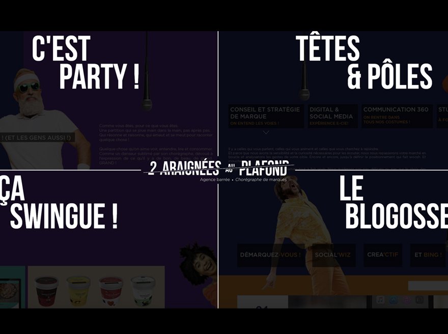 2 araignées au plafond