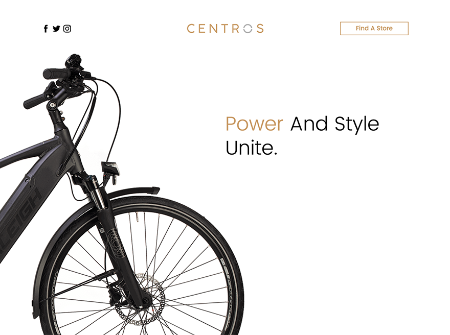 Raleigh Centros
