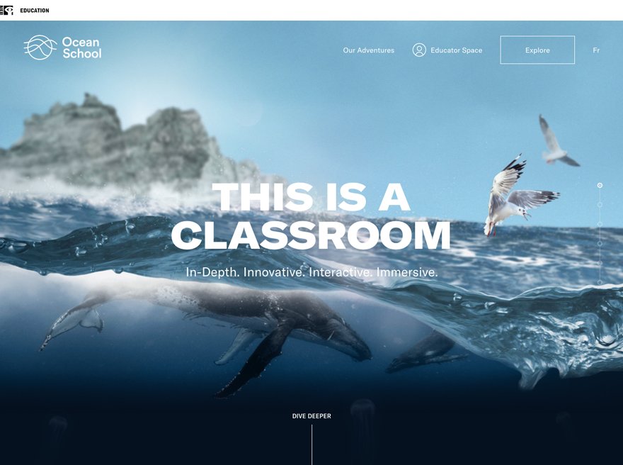 Ocean School