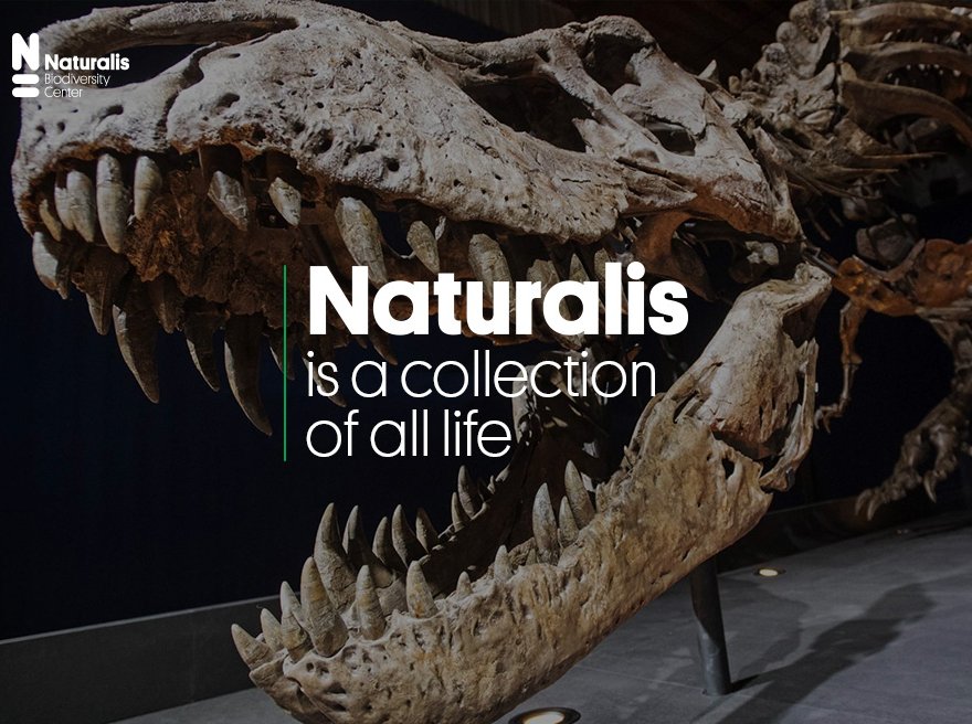 Naturalis