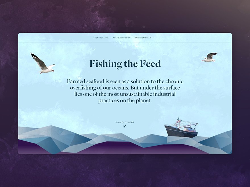 Fishing the Feed