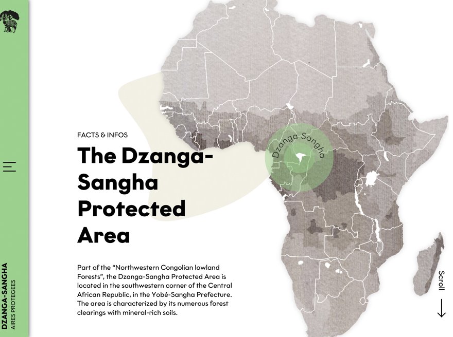 Dzanga-Sangha Protected Area