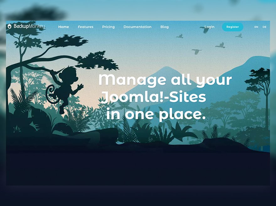 BackupMonkey.io