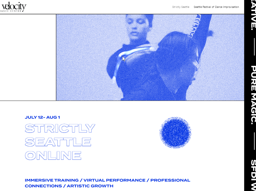 Velocity Summer Festivals