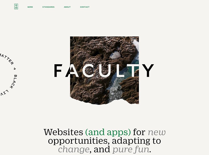 Faculty 2020
