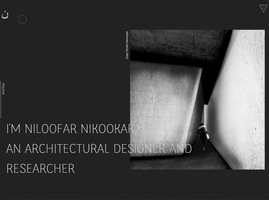 Niloofar Nikookar Portfolio