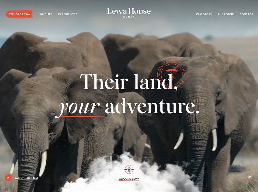 Lewa House