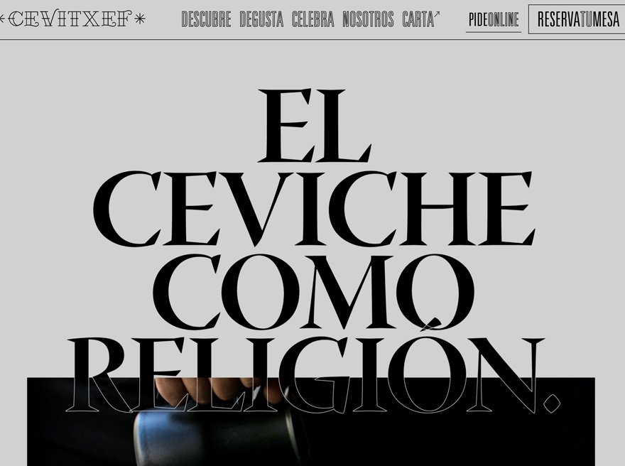 Cevitxef