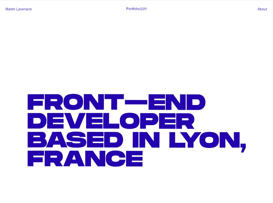 Martin Laxenaire '21 Portfolio