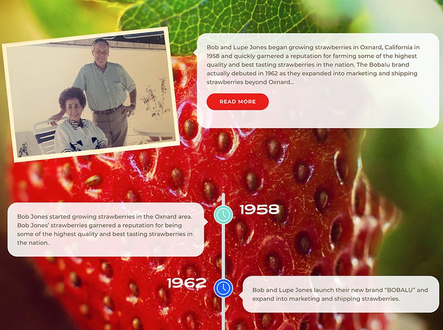 Bobalu Berries - Split Screen