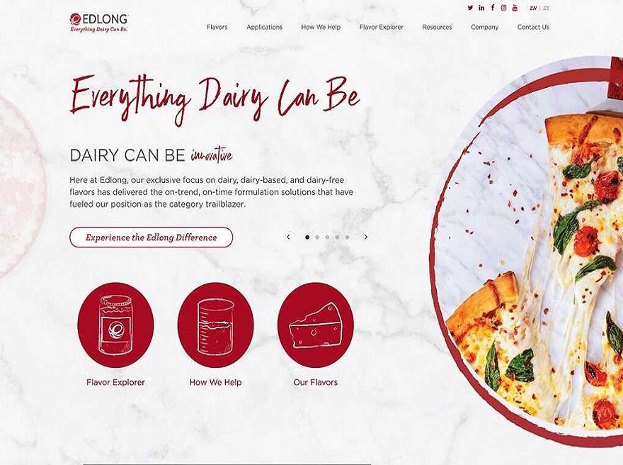 Edlong Website