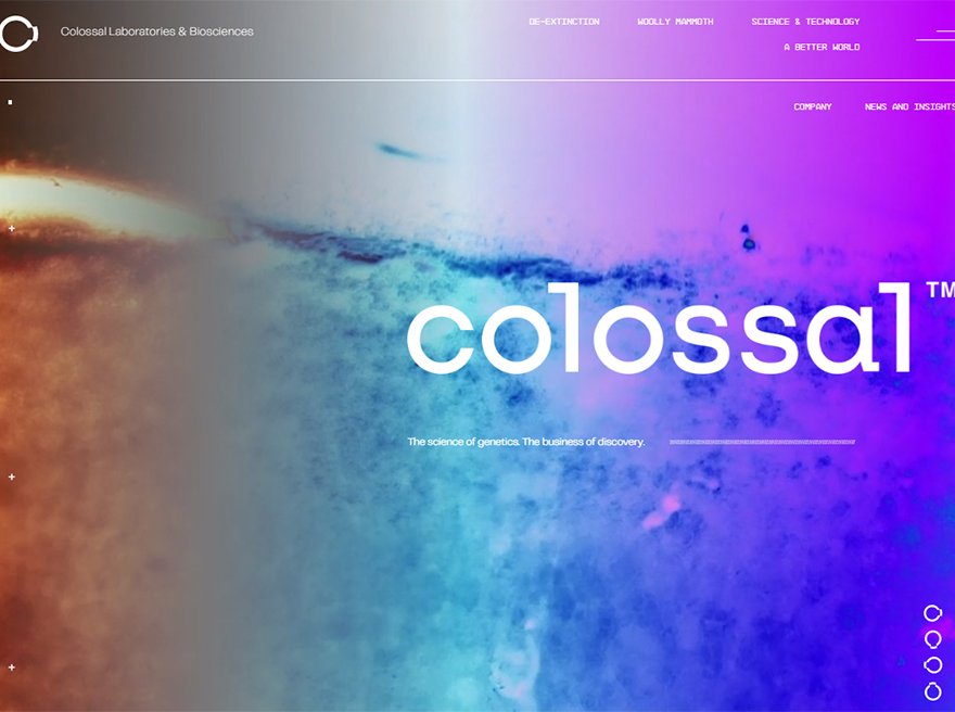 Colossal