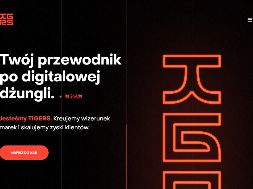 Tigers - Marketing Agency