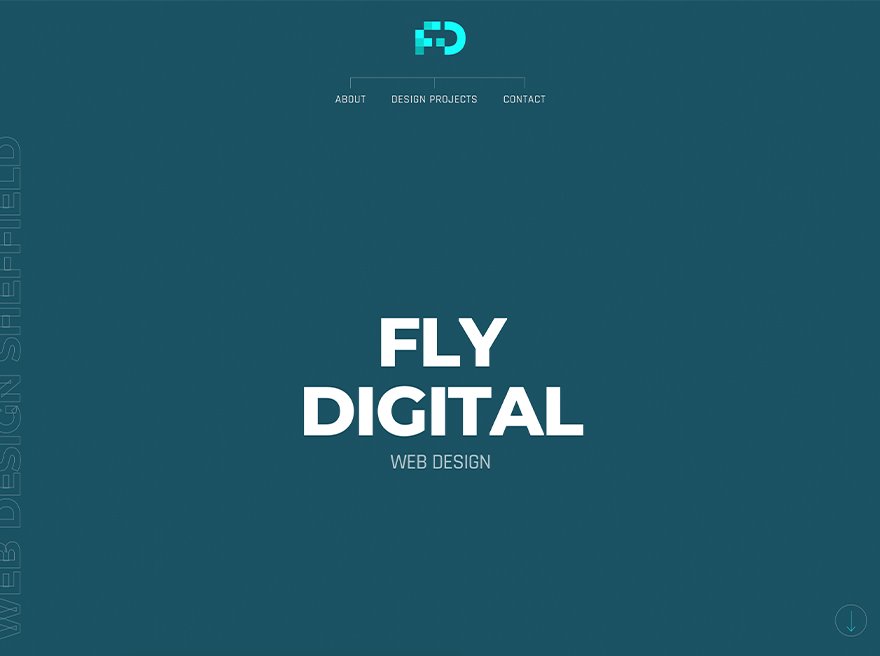 Fly Digital