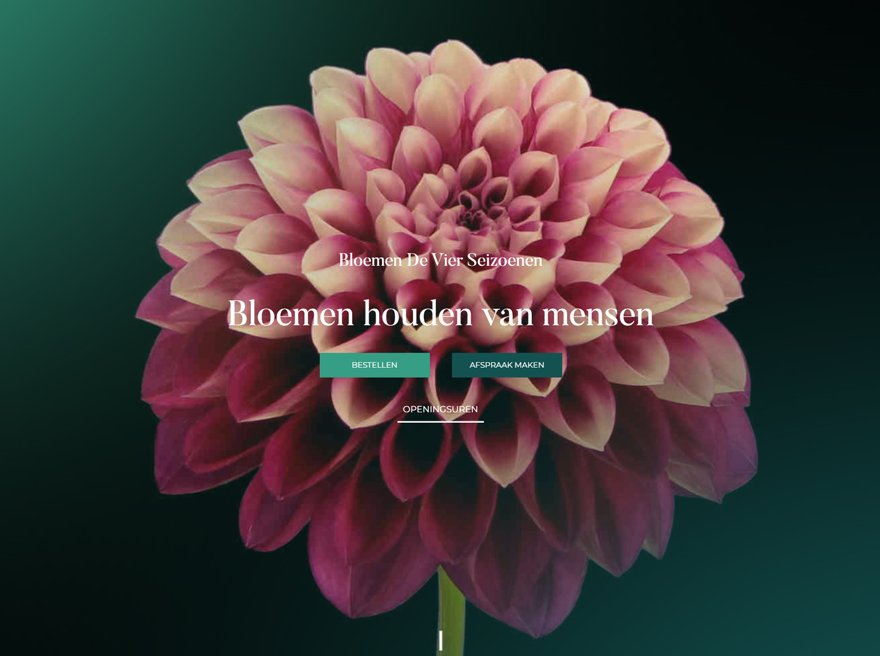 Bloemen De Vier Seizoenen