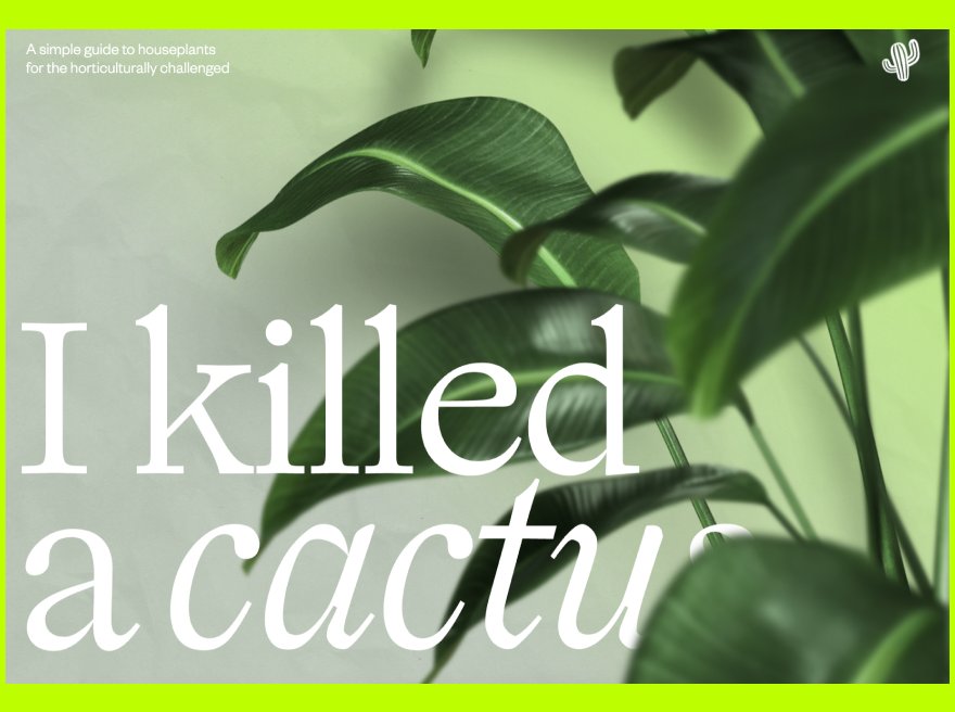 I Killed A Cactus