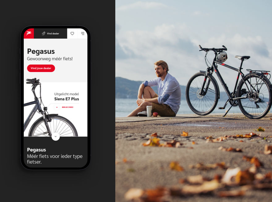 Pegasus bikes