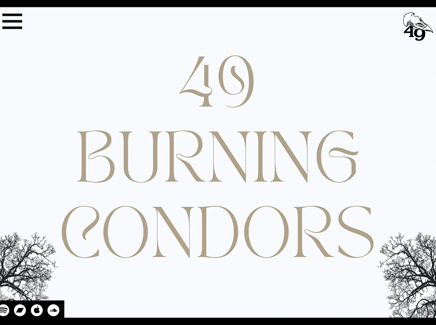49 Burning Condors