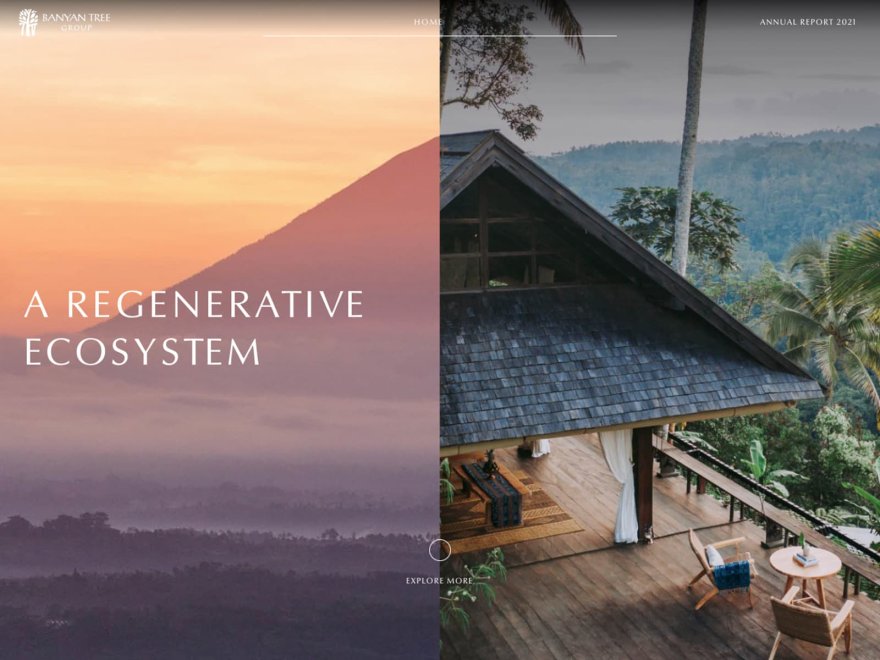 Banyan Tree Group Report