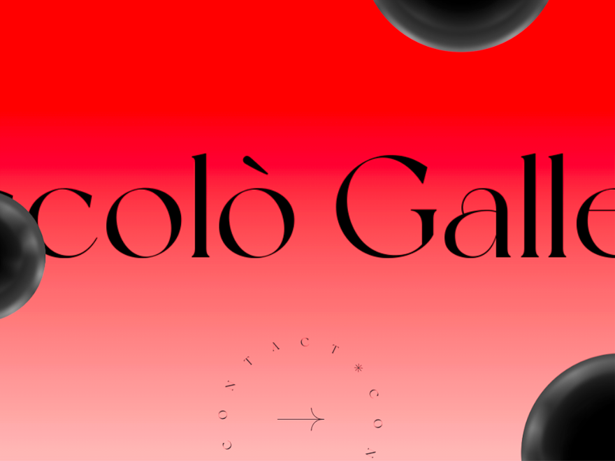 www.niccologalletti.com