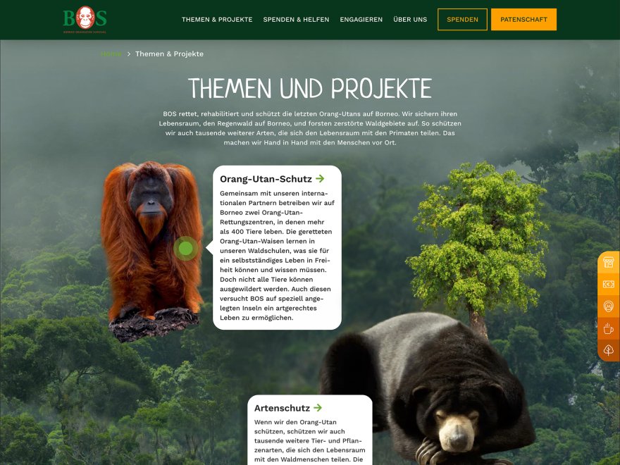 ORANGUTAN BOS Deutschland e.V.