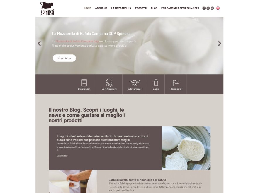 SPINOSA MOZZARELLA DI BUFALA