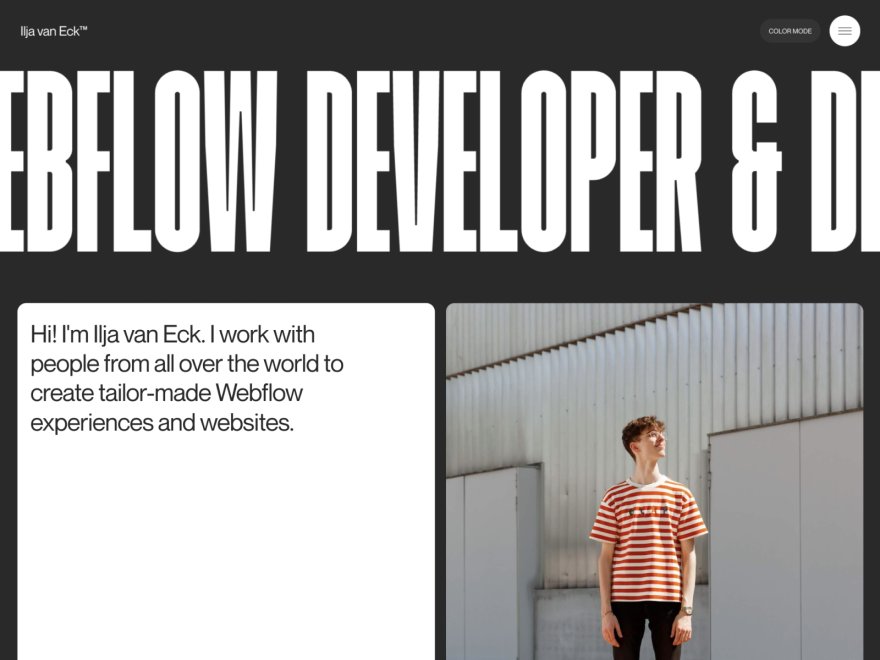 Ilja van Eck – Portfolio