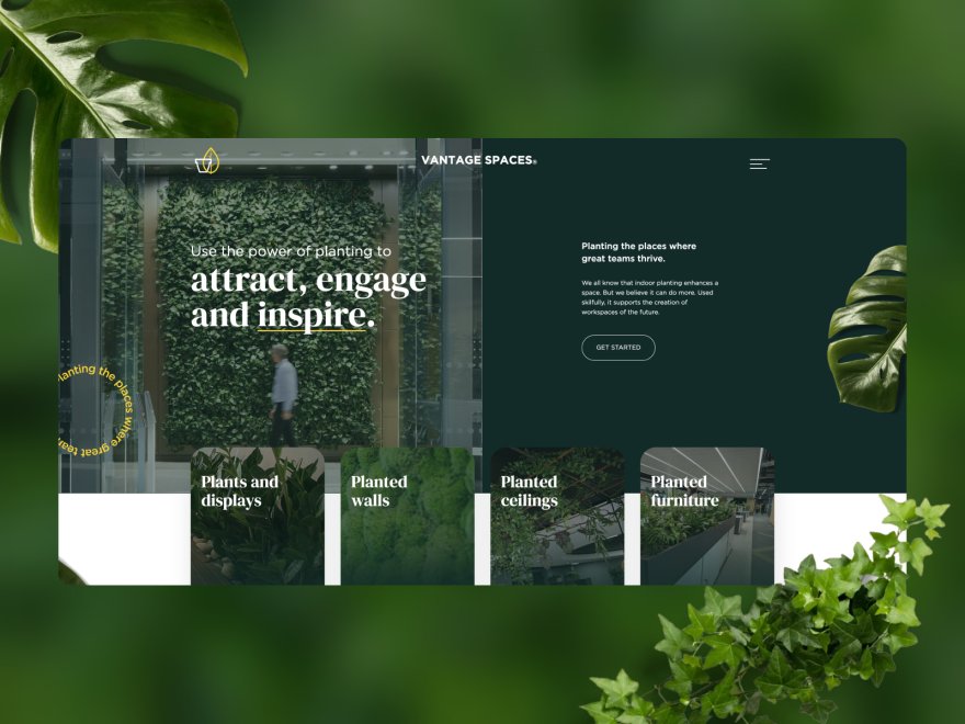 Vantage Spaces