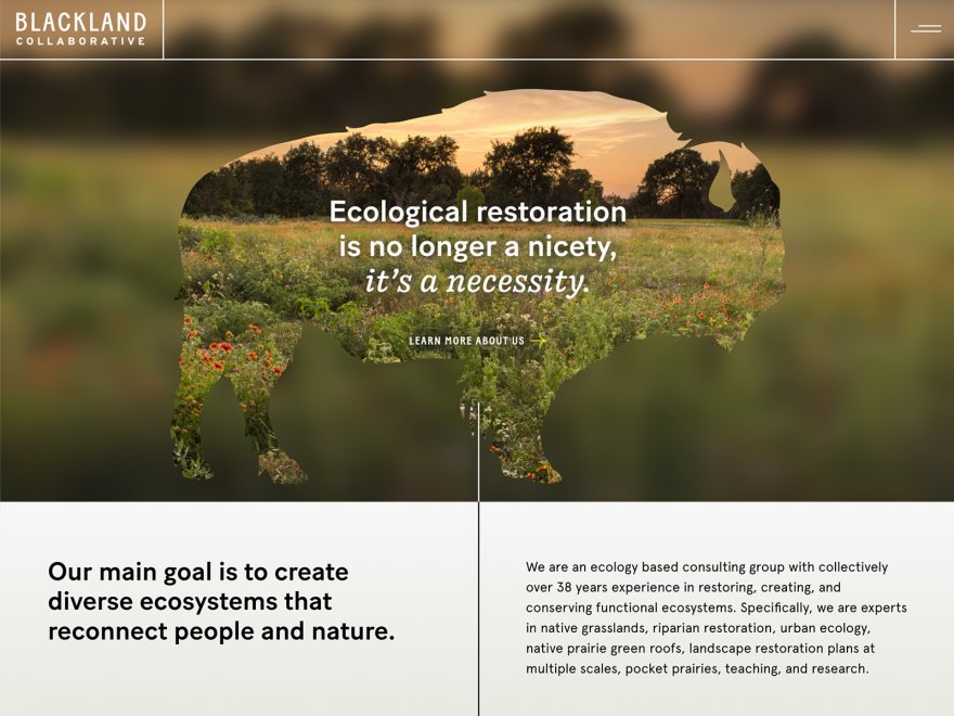 Blackland Collaborative