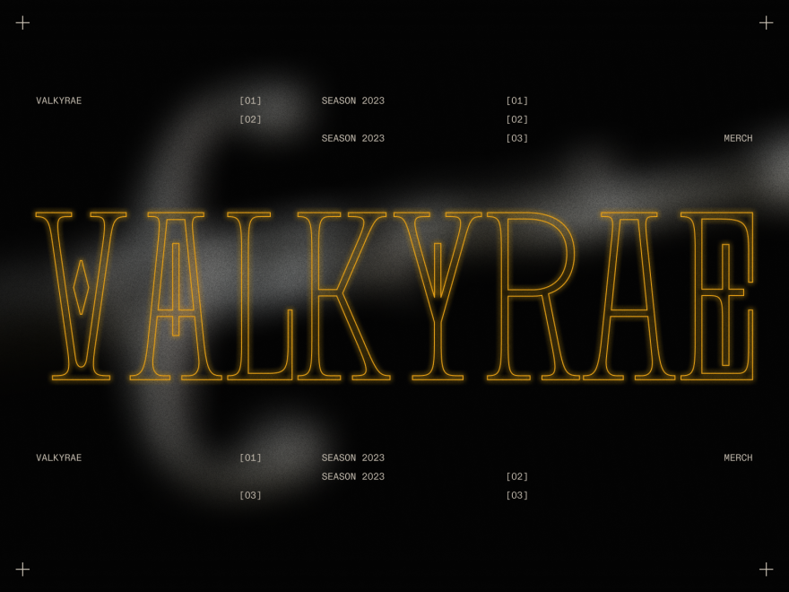 VALKYRAE STORE