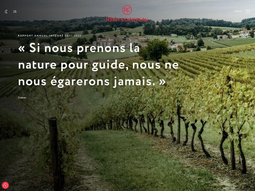 Rémy Cointreau Annual Report