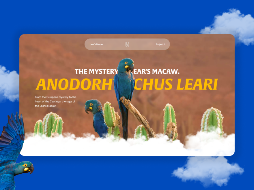 The mystery of Lear's macaw.