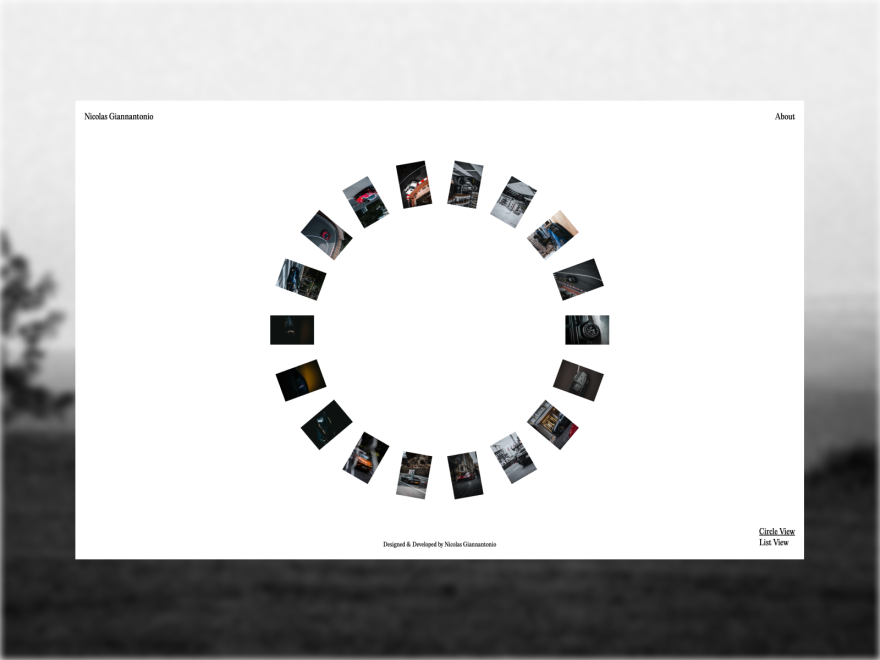 Photographic Gallery