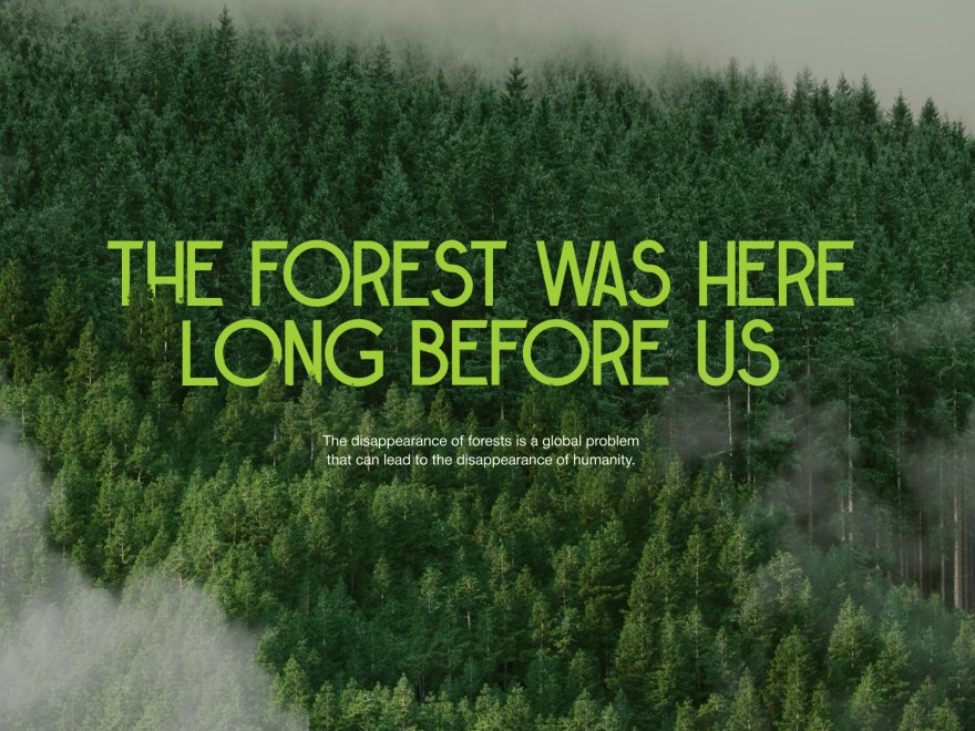The forest is the lungs of our planet