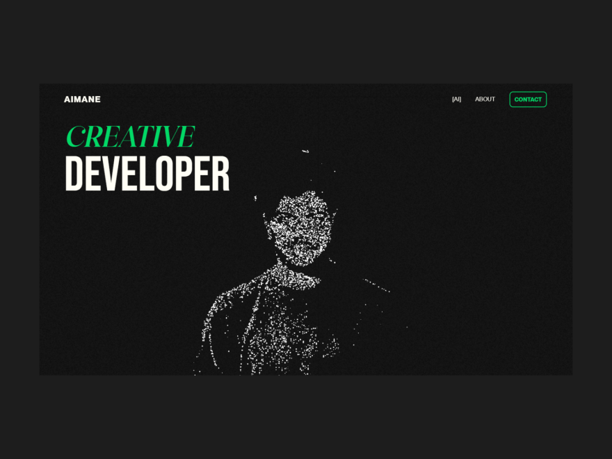 Portfolio creative developer