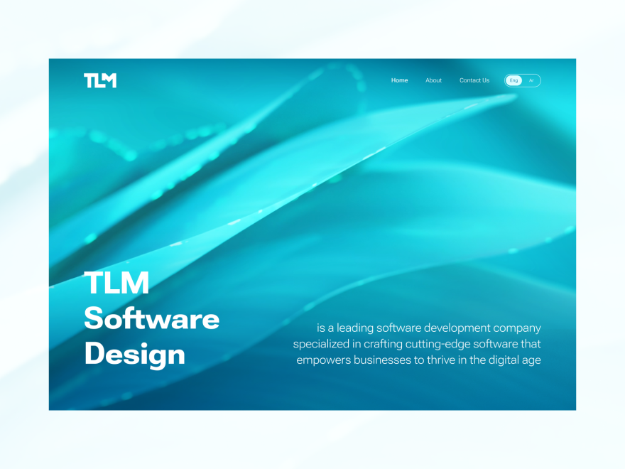 TLM Software Design