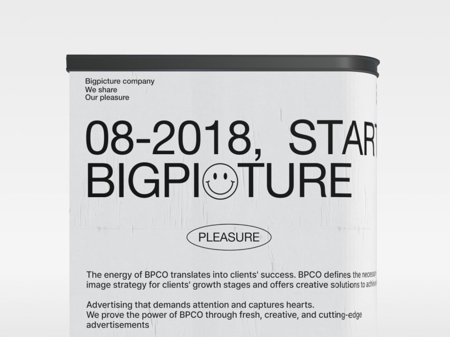 Bigpicture Company