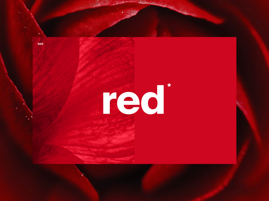 The Color Psychology