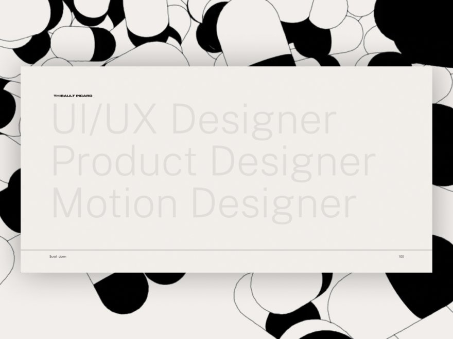 Thibault Picard Portfolio